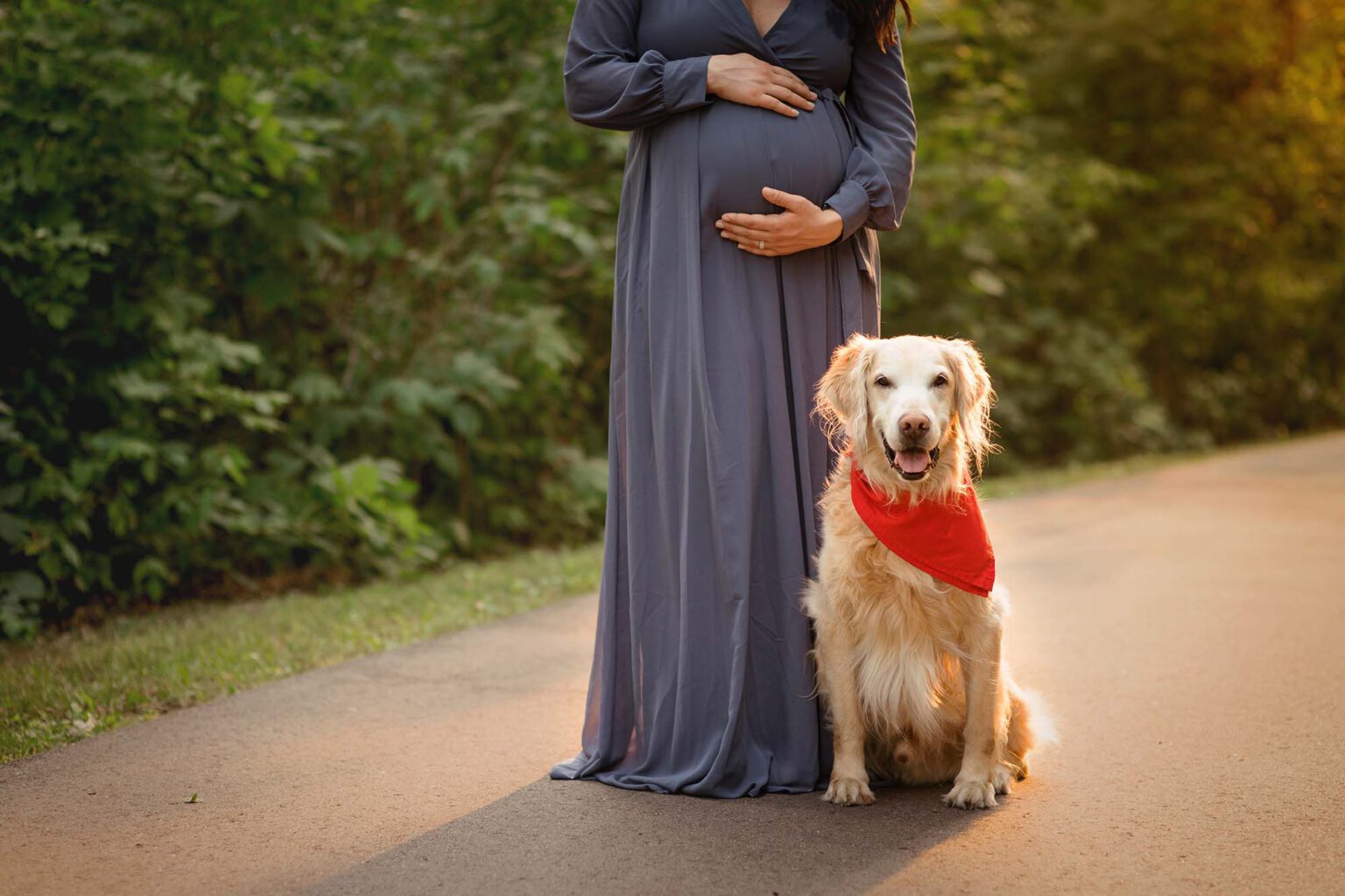 evening backlit maternity photos with dog Hugo mn