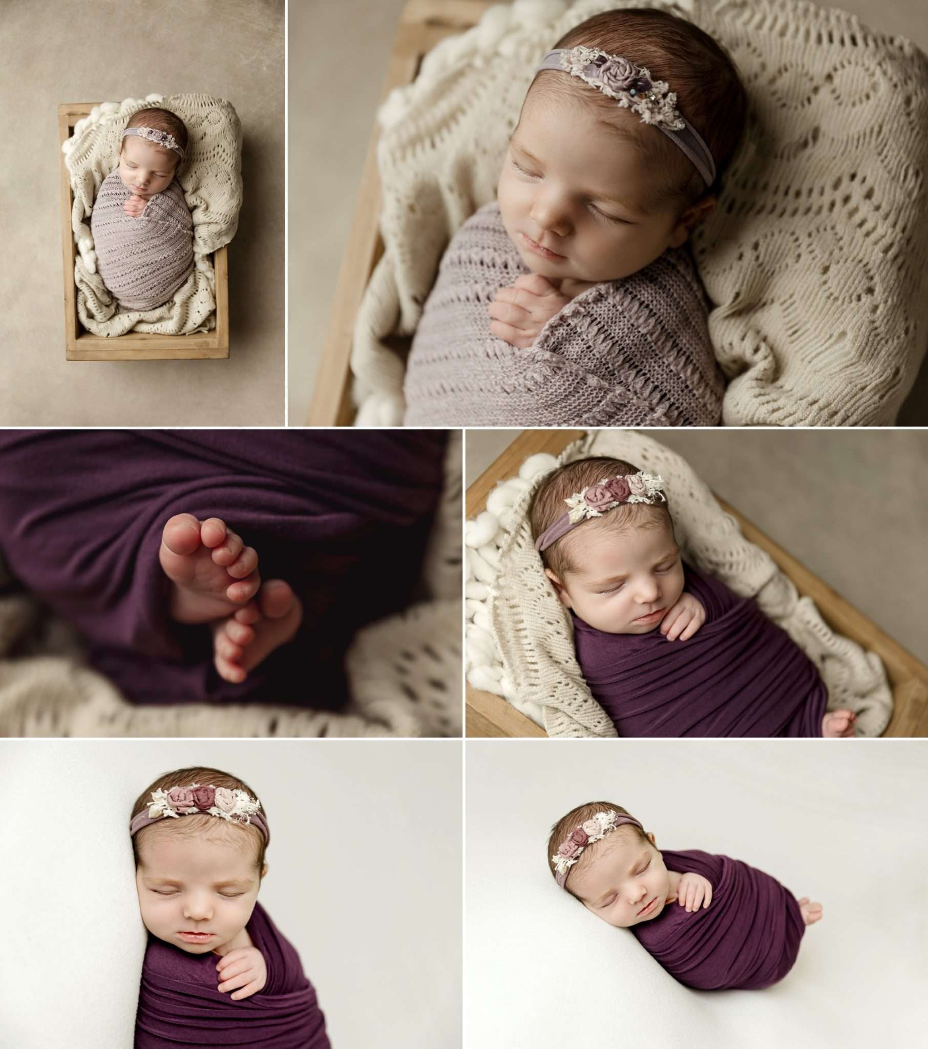 beautifully posed newborn baby girl in the studio in purple and cream